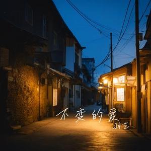 你是我拼了命爱过的人