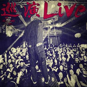 金色的永远 LIVE