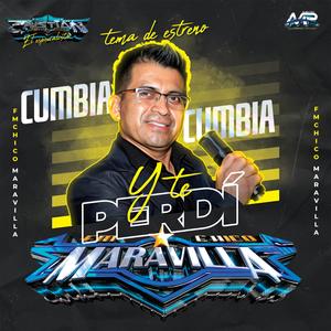 Y te perdí