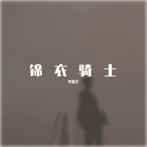 锦衣骑士 伴奏