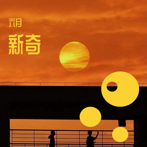 新奇