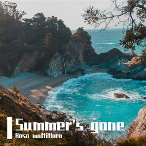 Summer‘s gone