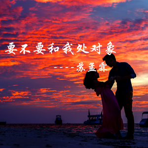 要不要和我处对象