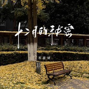 十二月的秘密（校园广播版）