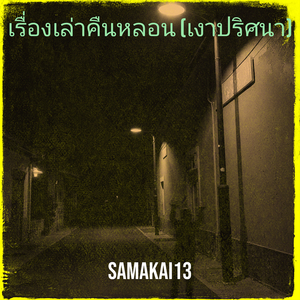 เรื่องเล่าคืนหลอน (เงาปริศนา)