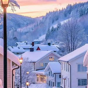 和平精英SS37-(丝路敦煌)