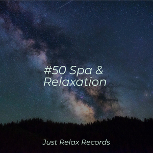 Moonlit Reflections Alongshore