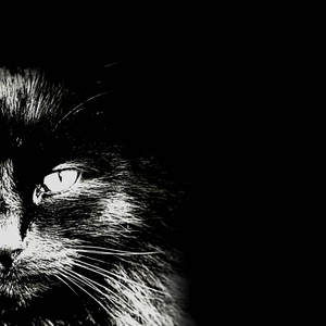 Просто роби