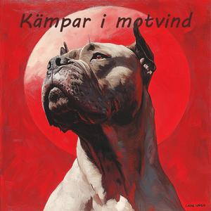 Kämpar i motvind