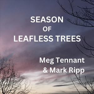 Season of Leafless Trees