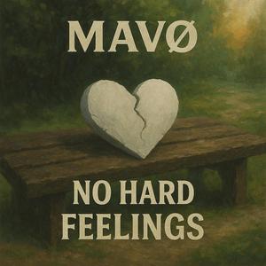 No Hard Feelings