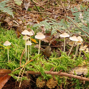 I'm Sad, so Here Is One More with Water