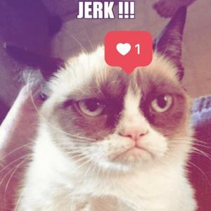 JEEEERK 800 EIGHT HUNNID (feat. forestwlkr)