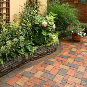 花园种花(扬琴版)