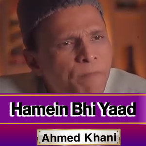 Hamein Bhi Yaad