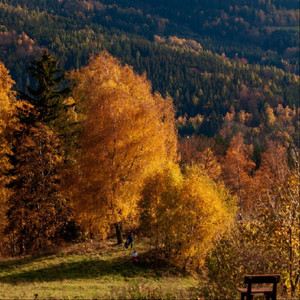 君はいつも夢を見るだけ