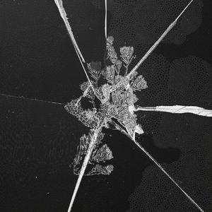 “THE_MORE,the_less” (Enola ver.)