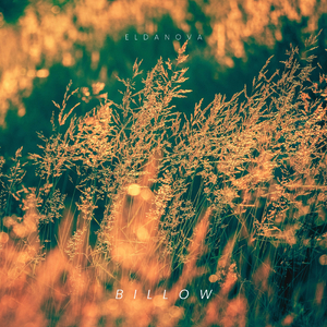 Billow