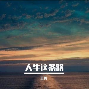 人生这条路 (烟嗓版)