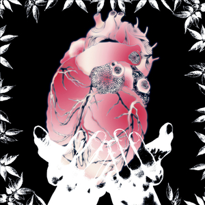 あたしの心臓あげる