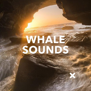 Whale Sounds Deep Underwater Submarine (Original Mix)