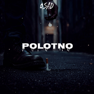 Polotno