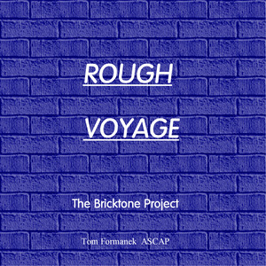 Rough Voyage (feat. Tom Formanek)