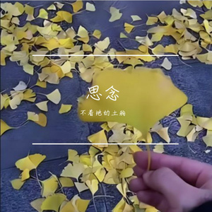 让我欢喜让我忧