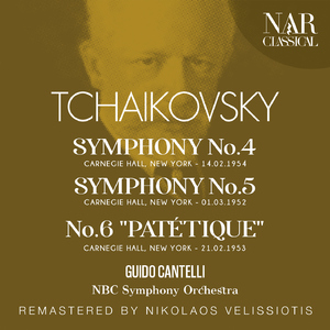 Symphony No. 6 in B Minor, Op. 74, IPT 132:II. Allegro con grazia