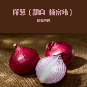 洋葱