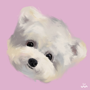 에오에오 (with Joy Yoon)