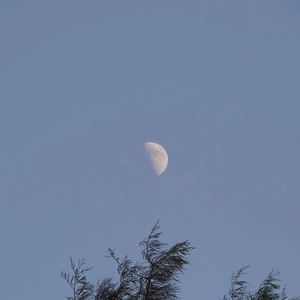 安小伟 王小呆-一个故事（治不开心药 remix）