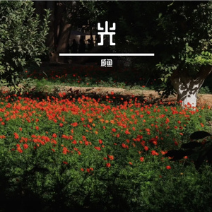 光的指引