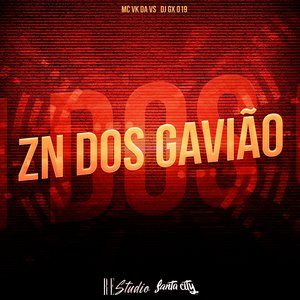 ZN dos Gavião