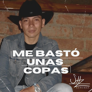 Me Bastó Unas Copas