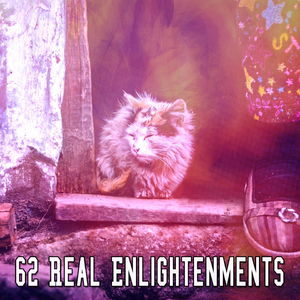 Heavy Rain in the Forest