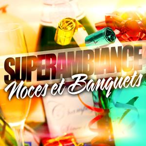 Sans Chemise, Sans Pantalon