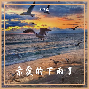 亲爱的下雨了(完整版)