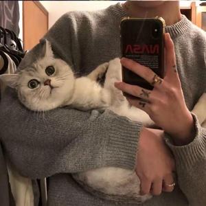 海上升起不落的太阳
