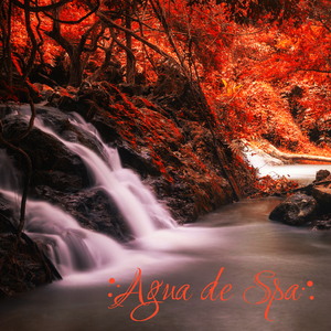 Playa Lenta y Apacible de la Isla