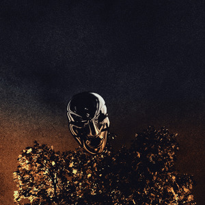 Нарциссизм