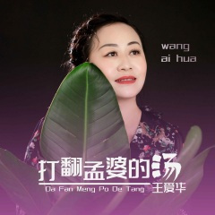 打翻孟婆的汤 (伴奏)(DJ默涵版)