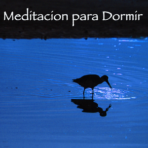 Canciones Relajantes para Dormir