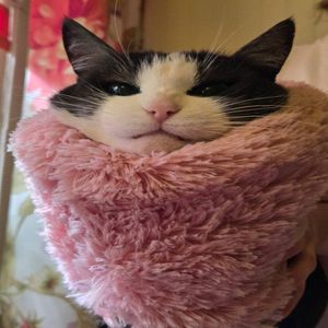 Любовь горчит