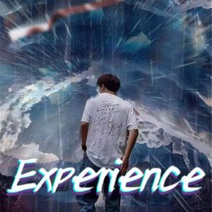 Experience
