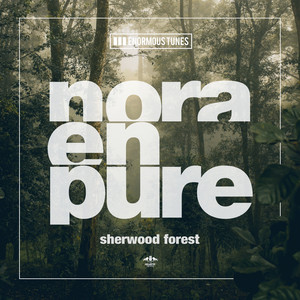 Sherwood Forest (Club Mix)