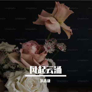 风起云涌