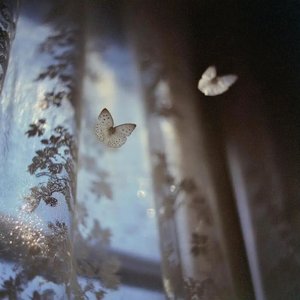 风语治愈