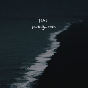 Seni sevmiyorum