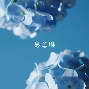 思念谁